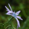 dsc_1444.jpg