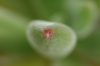 dsc_9912.jpg