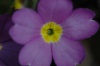 dsc_9984.jpg